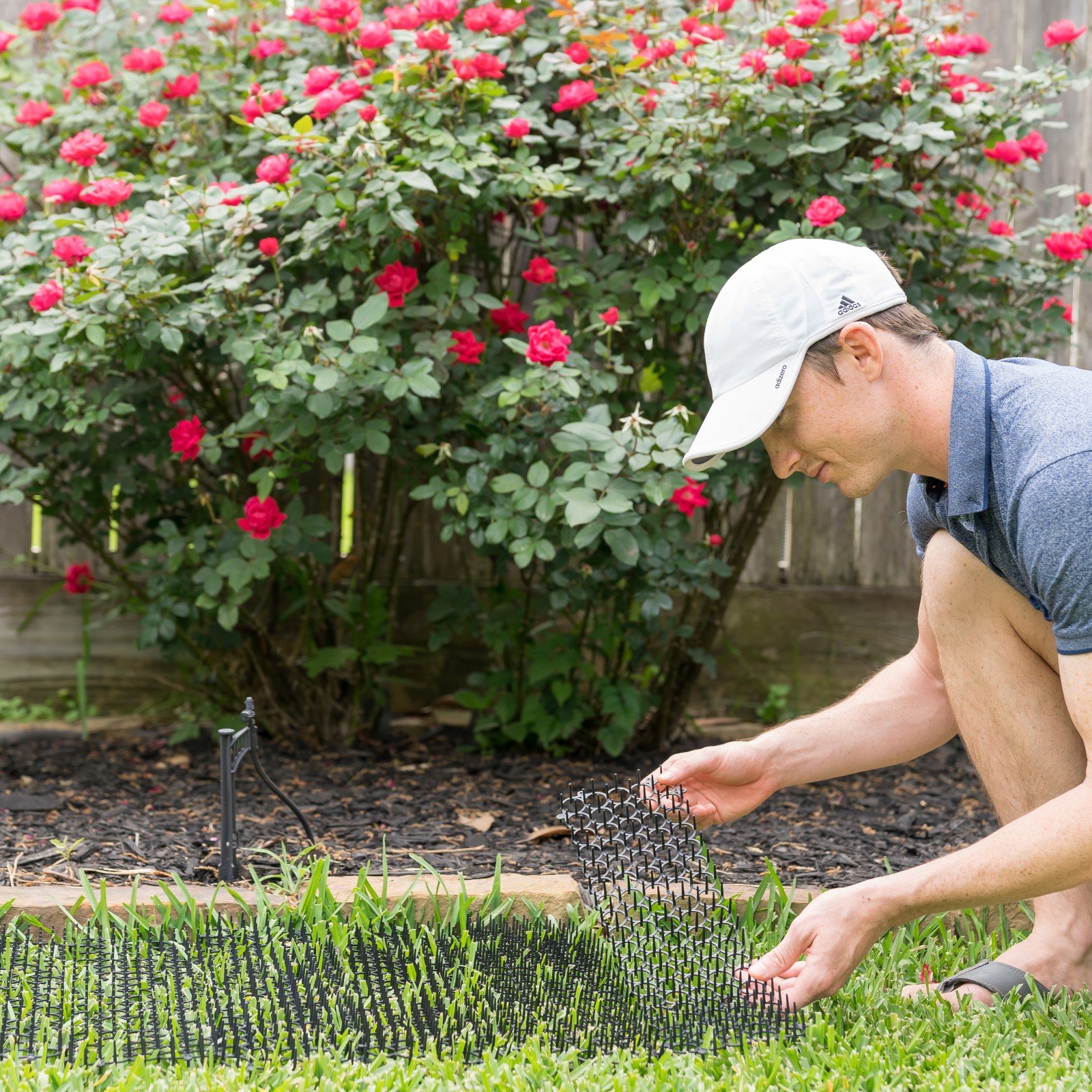 Homarden Garden Cat Scat Mats Anticat and pest Prickle Strips (Set