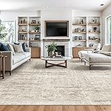Valenrug Washable Rug - Stain Resistant Area Rugs