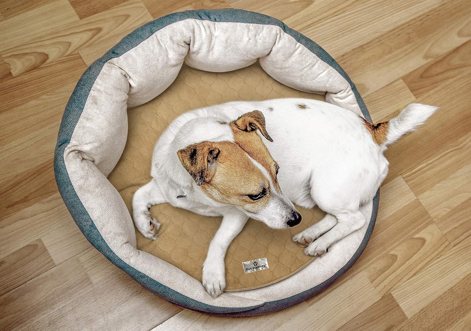 Pet Parents Washable Round Whelping Pads (2pack) of 17" Circle Premium Pee Pads for Dogs, Waterproof Dog Pee Pads, Circle Reusable Dog Training Pads, Pet Pee Pads! Modern Puppy Pads! -1 Tan & 1 Grey : Pet Supplies