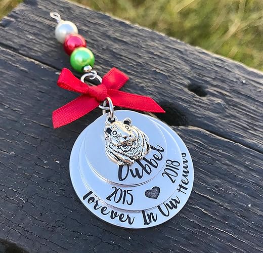 guinea pig remembrance