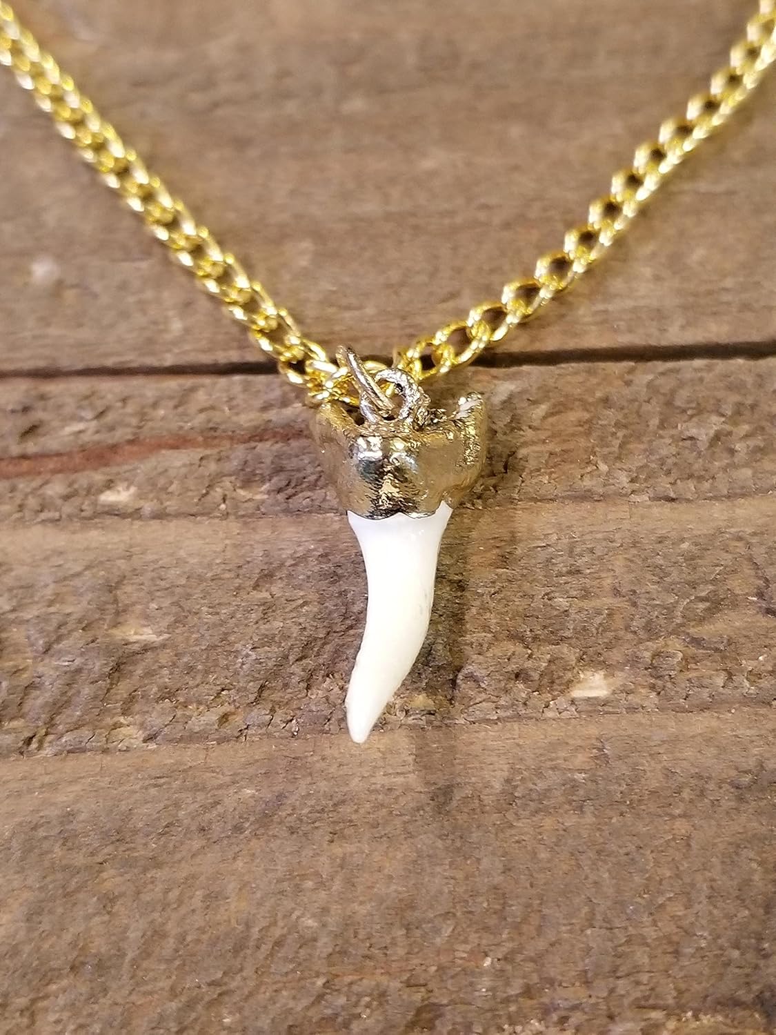24K Rose Gold Plated Small Shark Tooth On Chain Necklace Beautiful Real Teeth Epic Ocean Sea Collection Fine Handmade Elegant Jewelry (N162)