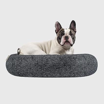 large dog bed canada