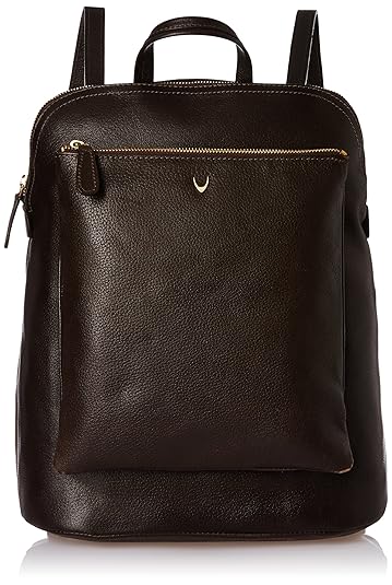 Hidesign Womens Handbag (Brown)