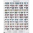 QMG Piano Chord and Scale Poster Chart for Piano Players and Teachers, Printed on Waterproof, Non-Tearing, Polypropylene Paper, Perfect Educational Reference Guide for Beginners, Size: 24”x 30”