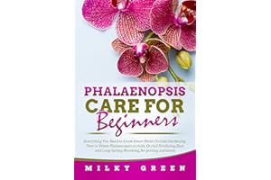 Phalaenopsis Care for Beginners: Everything You Need to Know About Moth Orchids Gardening, How to Water Phalaenopsis orchids,