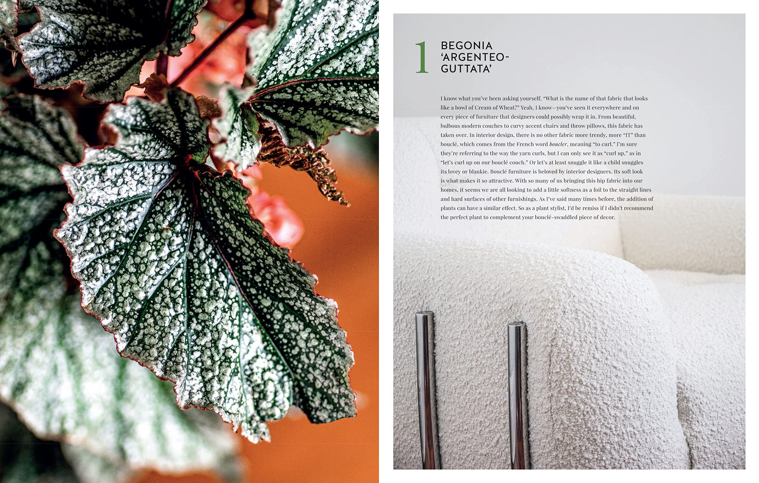 Living Wild: How to plant style your home and cultivate happiness Living Wild: How to plant style your home and cultivate happiness Hardcover