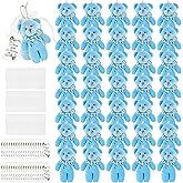 Haconba 36 Pack Mini Plush Teddy Bear Stuffed Animals Toy with 40 Thank You Tags and 40 Mesh Bags for Boy Girls Gender Reveal Baby Shower Birthday Party (Color Set 3)