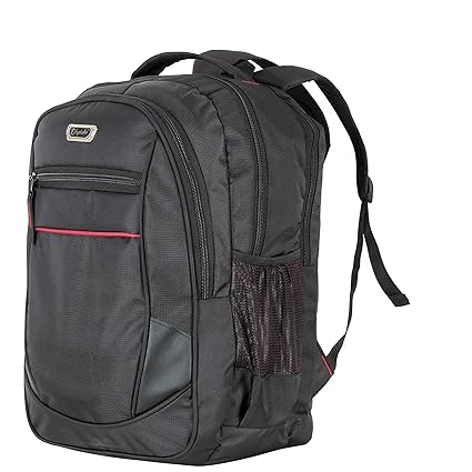 Fyntake Beetle (Black) Branded Premium Quality Laptop Backpack for Men and Women (fits up to Laptop Size of 15.6 inch)