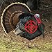 Turkey Hunter 2014
