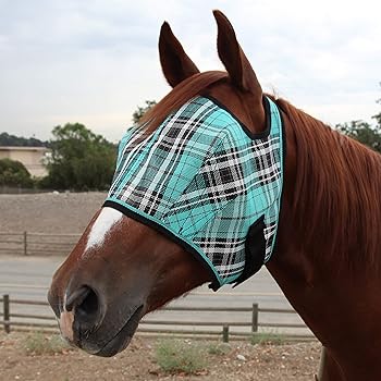Amazon.com: Duramask Fly Mask Size: XX-Large/Draft, Color