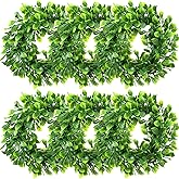 Redbaker 6 Pcs Eucalyptus Wreath 12 Inch Artificial Green Leaves Greenery Wreaths for Front Door Farmhouse Spring Summer Decor for Wedding Window Tabletop Decoration(Novel)