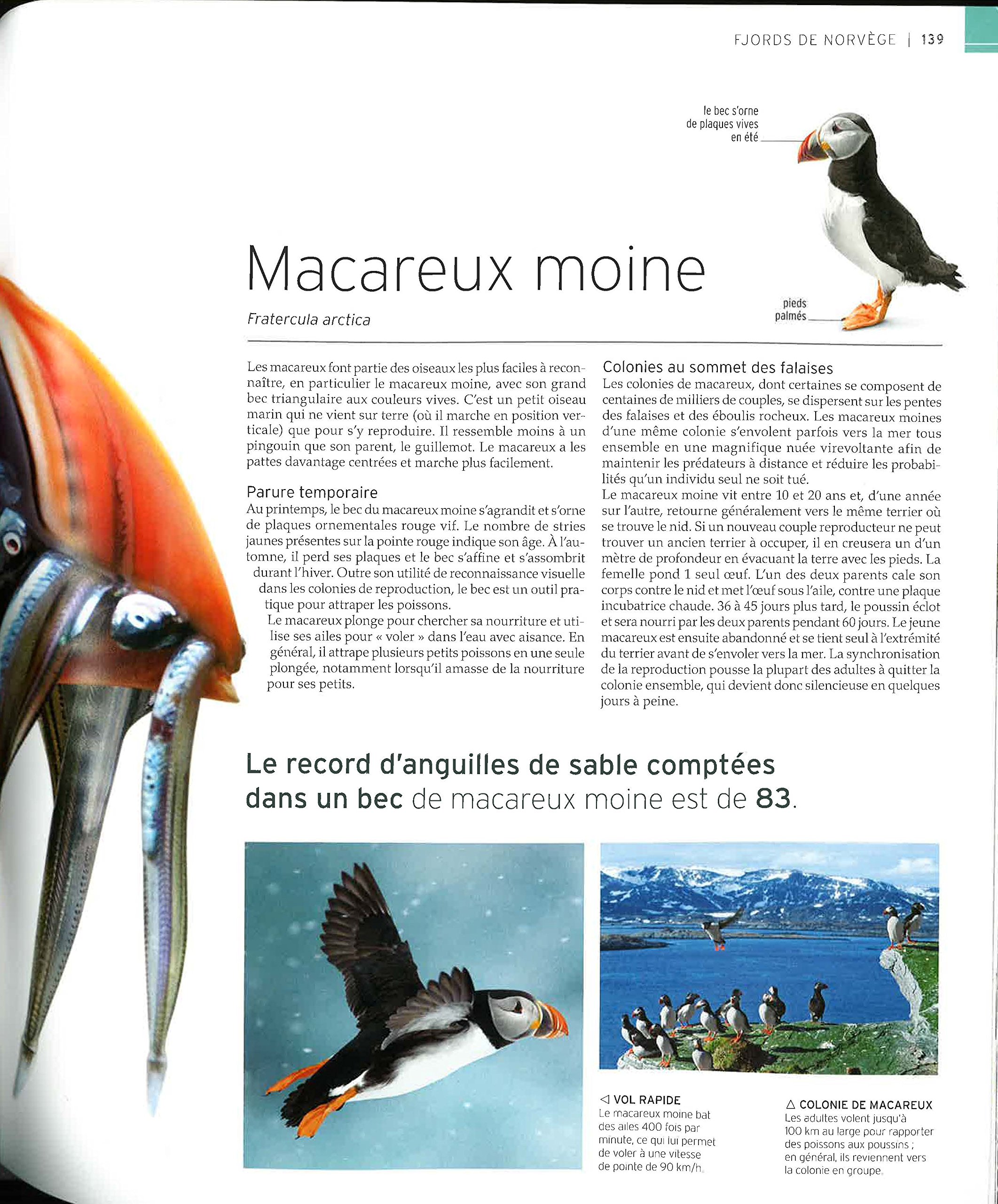 Vie Sauvage Encyclopédie Visuelle Des Animaux Continent