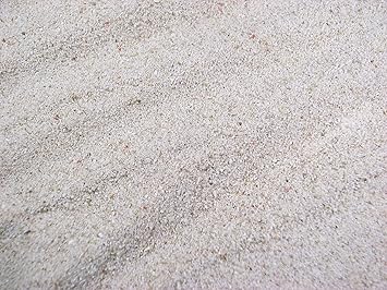 Amazon Co Jp 水槽用の底砂 未洗浄 サンゴ砂 kg パウダー ０ 海水水槽用底砂ガーデニング 庭 Diy 工具 ガーデン