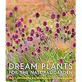 Dream Plants for the Natural Garden