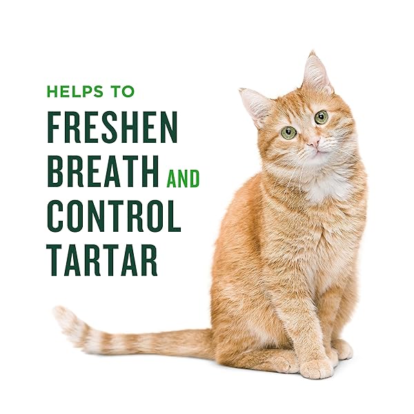 MINTIES DENTAL TREATS FOR CATS, SALMON FLAVORED TREATS FOR CATS, FRESHENS BREATH AND CONTROLS TARTAR, 2.5OZ