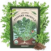 Seedboy Organic Non-GMO Herb Seeds for Planting (Slow Bolt Arugula) | USDA Certified Organic Seed Packet for Hydroponic, Indoor, or Outdoor Gardens; Containers and Window Sills