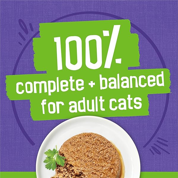 PURINA FRISKIES PATE WET CAT FOOD VARIETY PACK SEAFOOD AND CHICKEN PATE FAVORITES 40CT VP – (PACK OF 40) 5.5 OZ. CANS