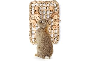 andwe Seagrass Protector Mat with Toys for Rabbit Bunny Chinchilla Guinea Pigs or Other Rodent Pets (11 X 7.87-inch)