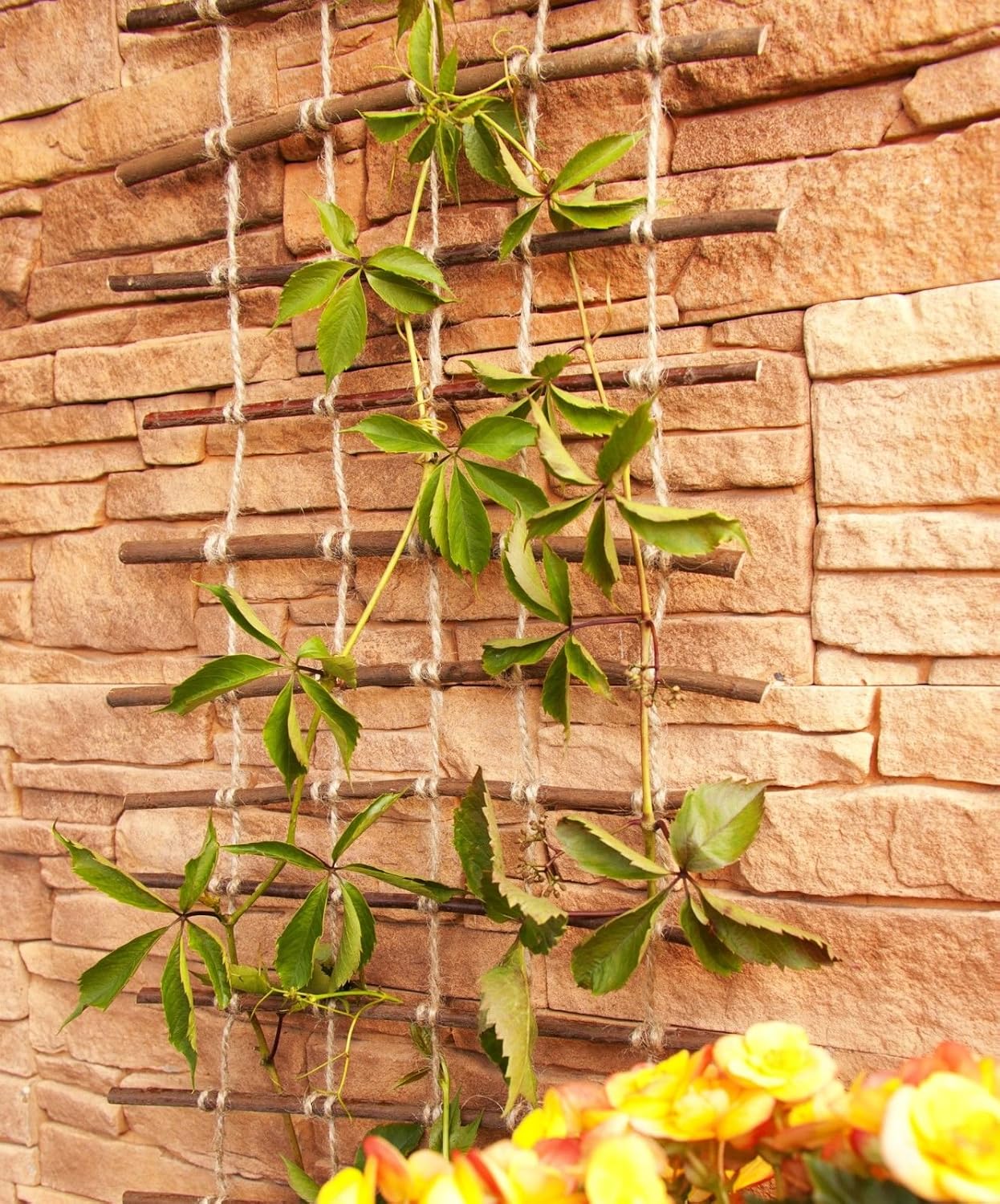 Floranica® Pérgola, Enrejado de Sauce impregnada y Cuerda de Yute ...