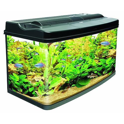 Large Fish Tanks Amazon.co.uk