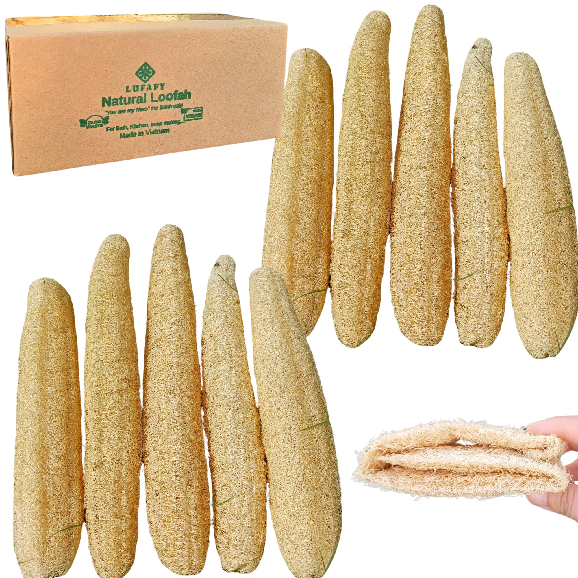 Photo 1 of 10 Pcs (7 – 10 Inches) Natural Loofah Sponge | Organic Loofah | Shower Loofah Exfoliating Body Scrubber | Bath for Loofah for Men and Women | (10 - Pack)