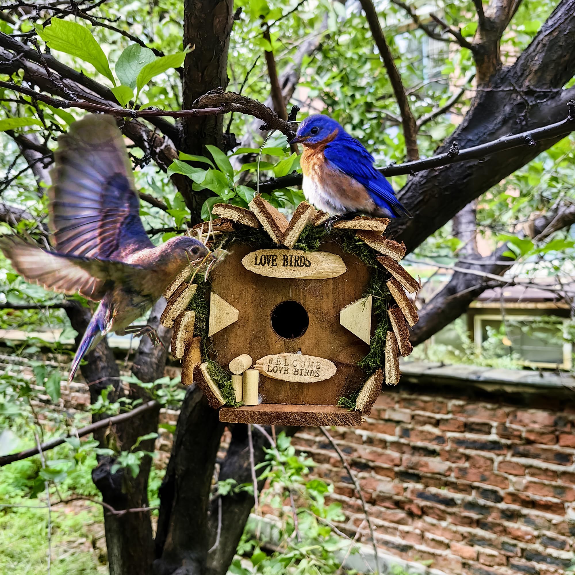 YCHTEWY-Natural Wooden Outdoor Birdhouse for Cardinals, Hanging Garden Birdhouse for Viewing