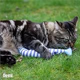 Rosewood Battersea Cat Kicker Fish Toy Blue White Striped 30 cm Catnip-Infused view 4