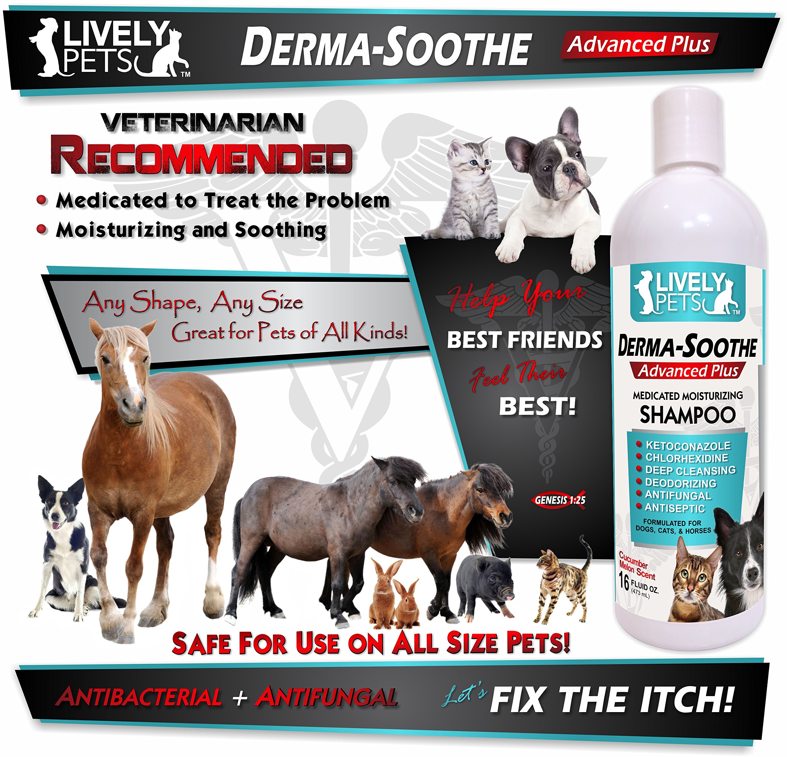 Lively Pets Medicated Shampoo for Dogs Ketoconazole and Chlorhexidine
