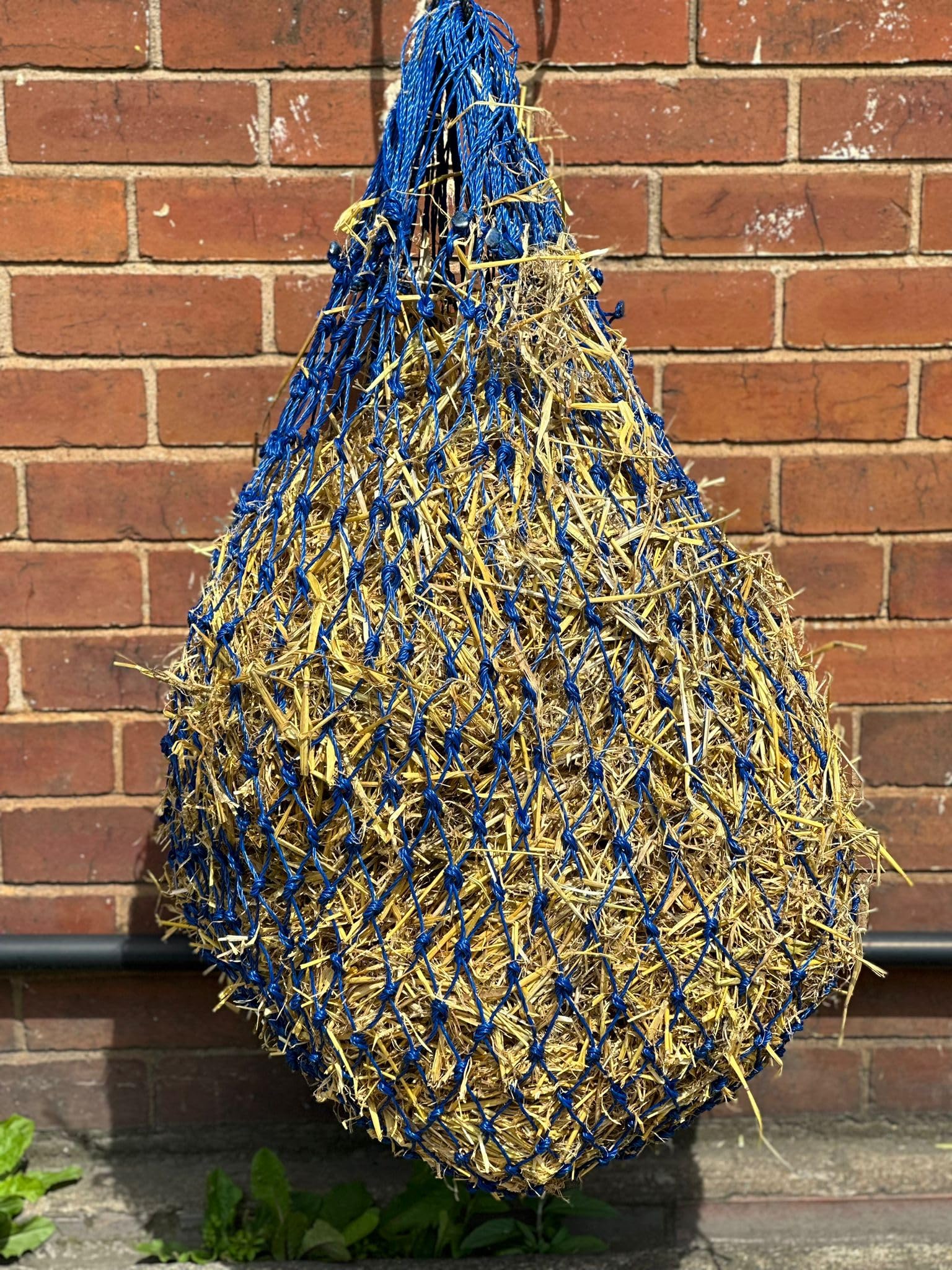 Countrypride Equipride Large Twisted Haylage Haynet for Horse with Ring on the Base 7 Colours (Royal Blue)
