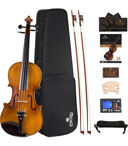 Amazon.com: Stentor 1400A2-4/4 4-String Violin, 4/4 : Toys & Games