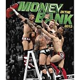 WWE: Money in the Bank 2013 (Blu ray)