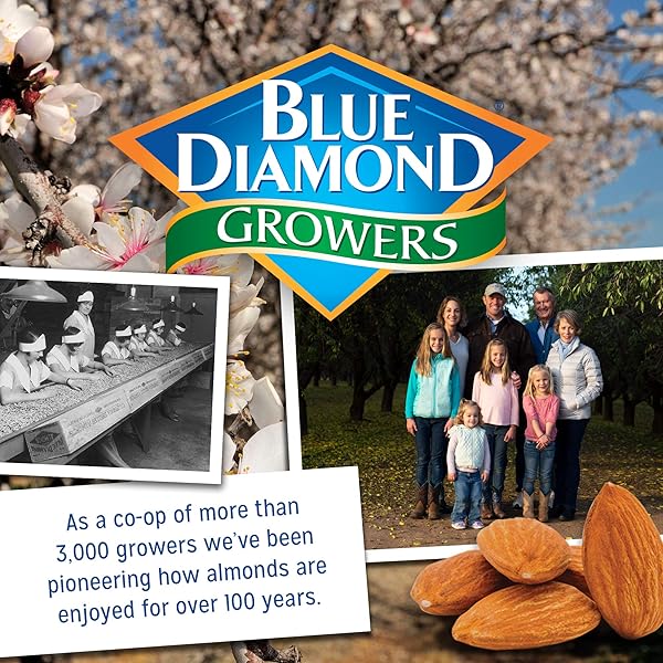 BLUE DIAMOND ALMONDS HONEY ROASTED SNACK ALMONDS, HONEY ROASTED, 1 POUND (PACK OF 1)