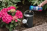 Westland Hydrangea Colourant 500 g Blue for Pale to Mauve Hydrangeas view 3