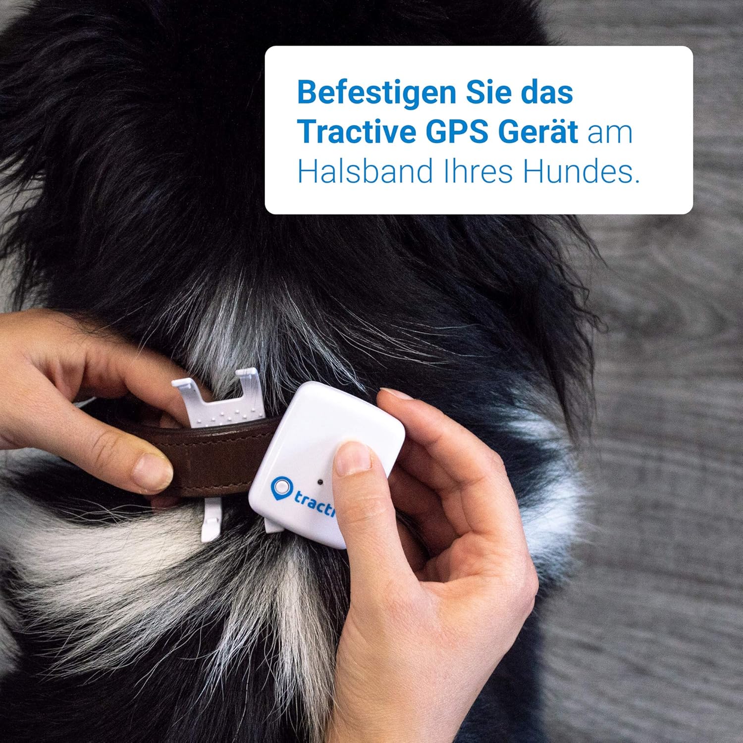 amazon tractive gps