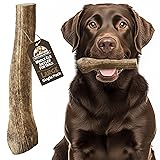 Heartland Elk Antlers for Dogs - Daily Dental Care