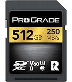 Amazon.com: SANDISK 256GB Extreme PRO SDXC UHS-II Memory Card