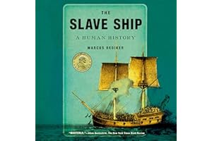 The Slave Ship: A Human History