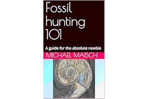 Fossil hunting 101: A guide for the absolute newbie