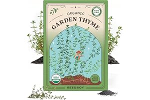 Seedboy Organic Thyme Herb Seeds for Indoor Gardening or Planting Outdoors, Non-GMO and USDA Certified Herb Seed Packets, 250 Seeds/500 mg (Thyme)
