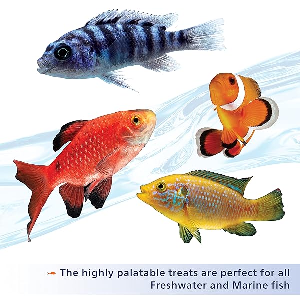 AQUEON STICK’EMS FREEZE-DRIED COLOR BOOSTING PET FISH TREAT , 0.42 OZ