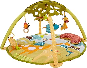 safari play gym