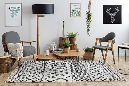 Rugsx Boho Area Rug Fluffy Berber Shaggy Fringe Moroccan Style For The Living Room Bedroom Kitchen Durable Carpet Safi N9040 White Black 80x150 Amazon Co Uk Kitchen Home