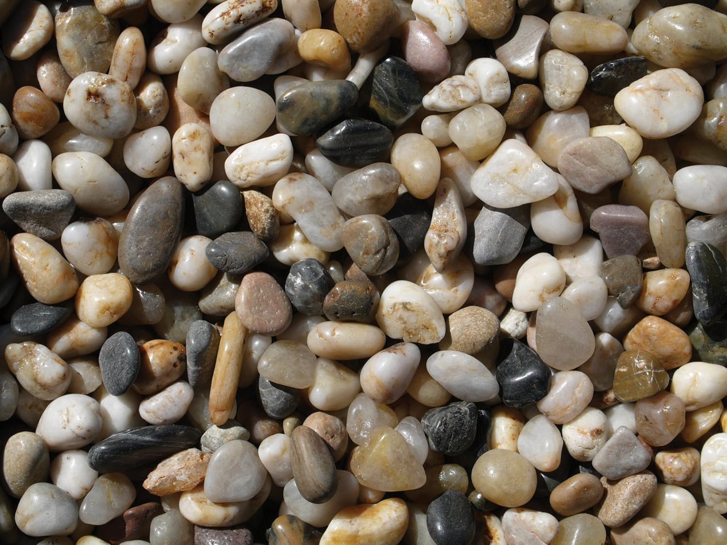 Exotic Pebbles PMS0510 Polished Gravel, Mixed, 5 Pounds, 3/8-Inch : Outdoor Decorative Stones : Garden & Outdoor