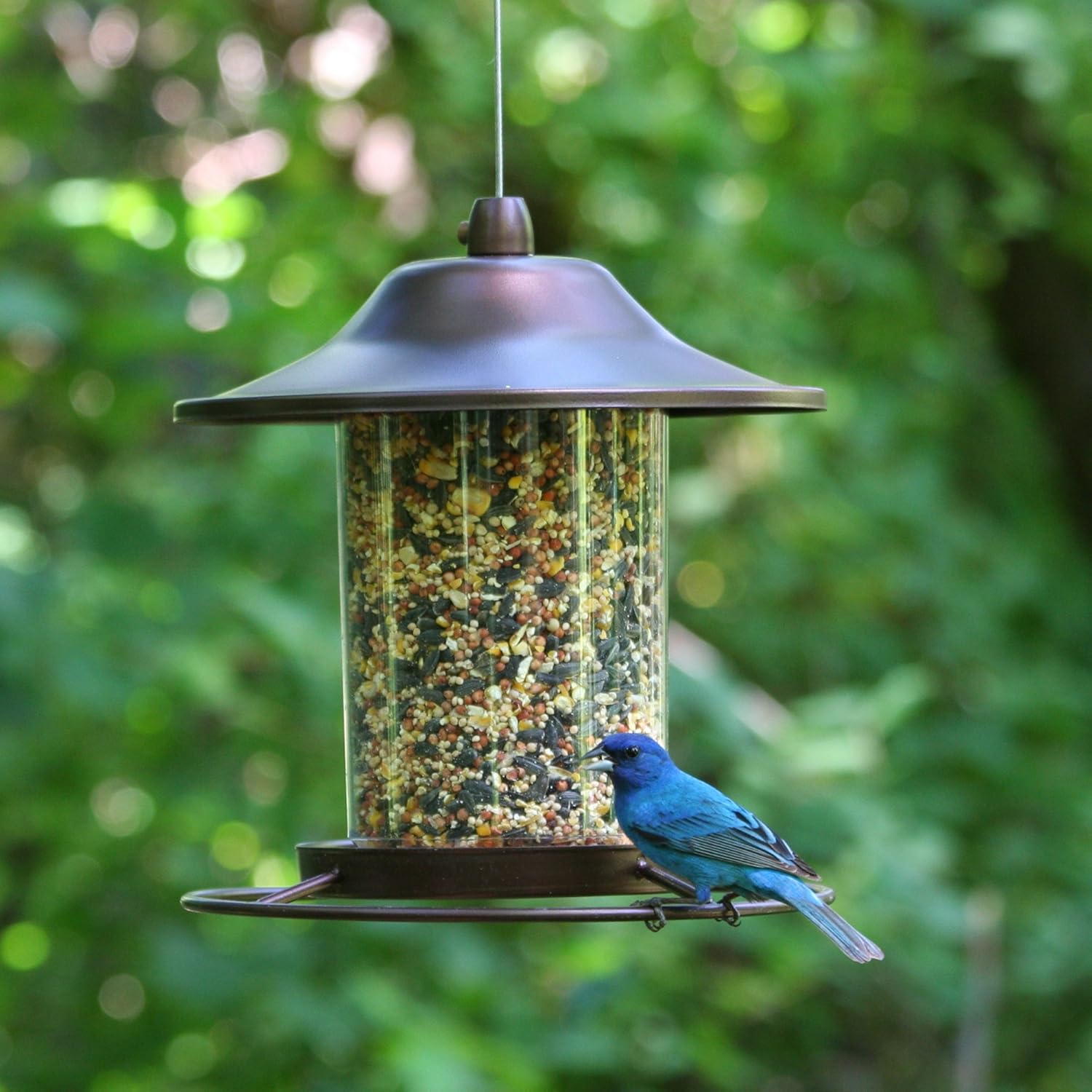 Perky-Pet 312 Panorama Bird Feeder, 2 lbs, Brown : Wild Bird Feeders : Garden & Outdoor