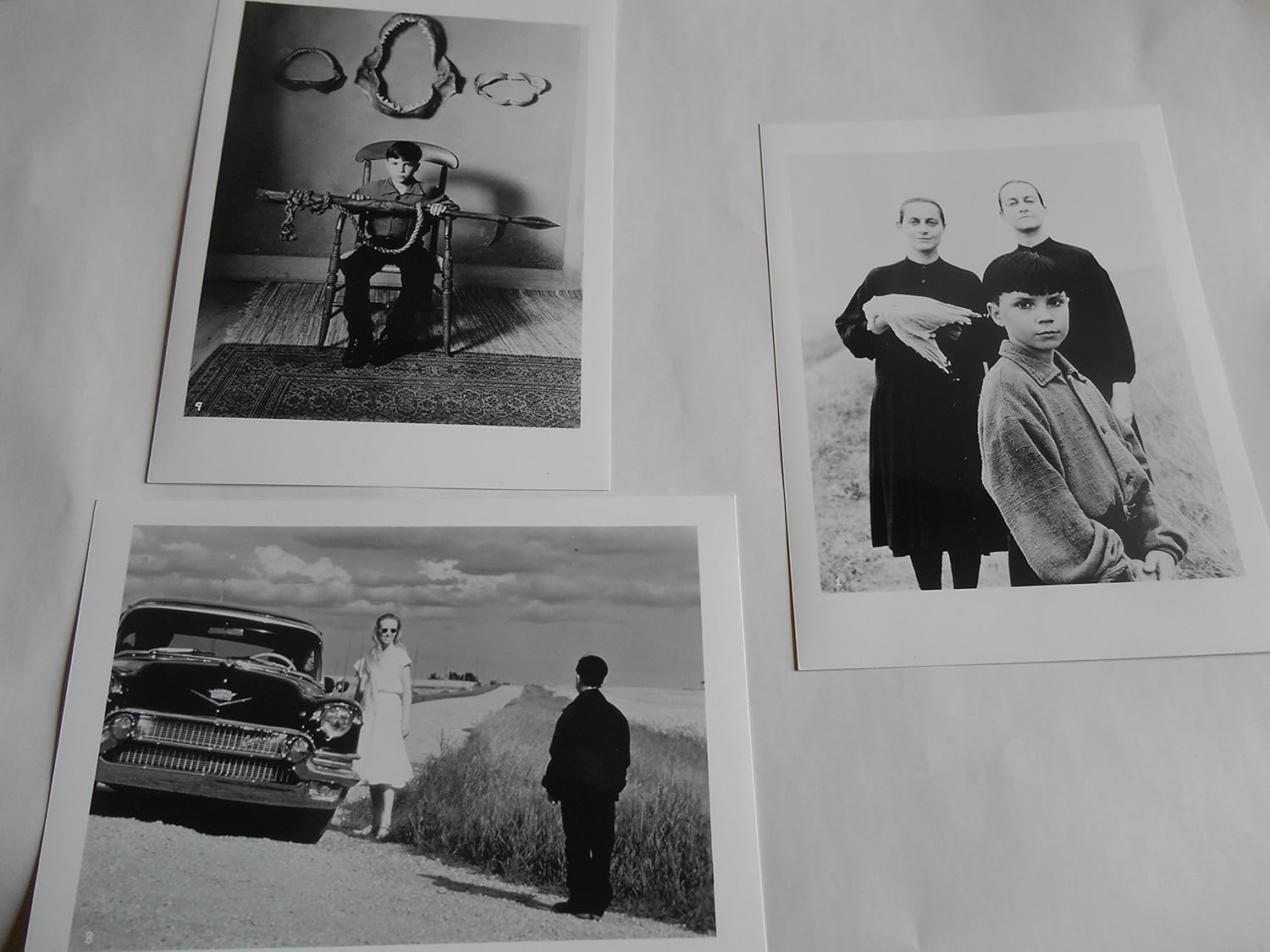 Amazon Co Jp 劇場用映画スチール３種セット 柔らかい殻 フィリップ リドリー監督 ジェレミー クーパー ホビー 通販