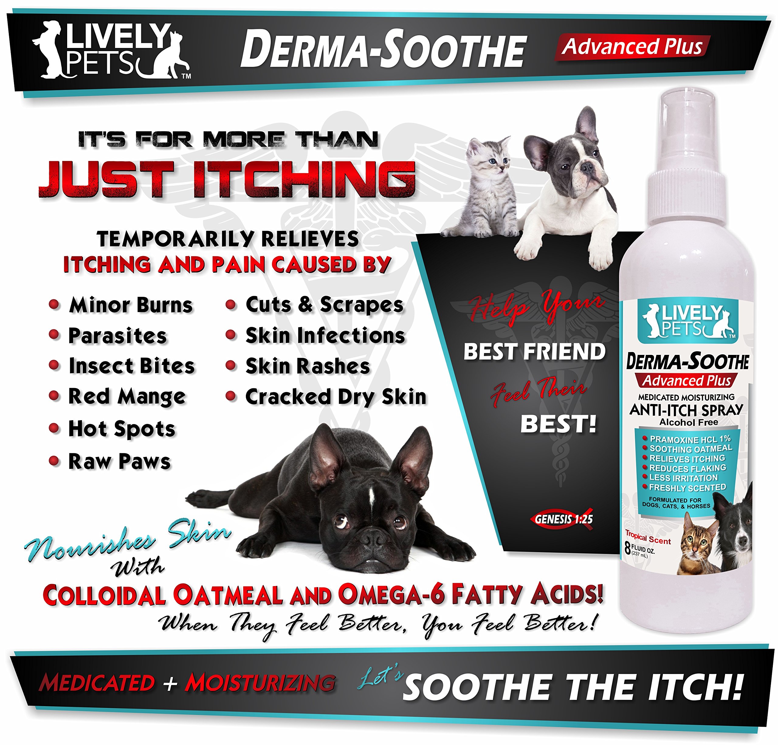 DermaSoothe Medicated Anti Itch Oatmeal Spray for Dogs and Cats with