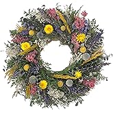 ANDALUCA 20" Preserved Dried Flowers Natural Botanical Floral Eucalyptus Wreath (Botanical Blossoms)