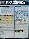 Microbiology (Quick Study Academic)