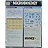 Microbiology (Quick Study Academic)