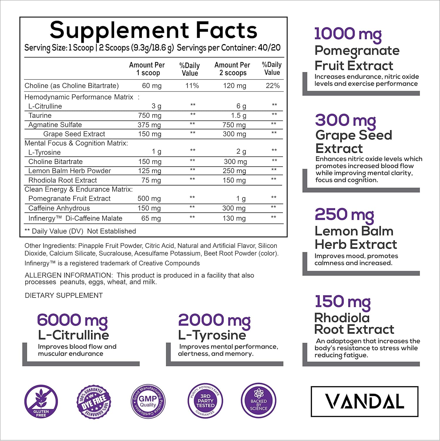 Vandal | Pre Workout Powder - All Natural & Safe Nootropic Pre Workout Supplement for Men & Women | Boosts Energy, Focus, Performance & Recovery | No Tingles, No Jitters, No Crash. | 40 Servings.: Health & Personal Care